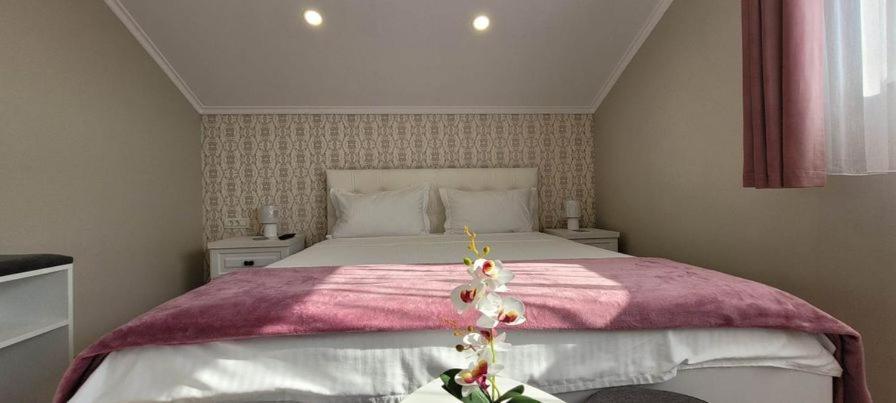 Casa Leahu Bed and Breakfast Baile 1 Mai Eksteriør billede